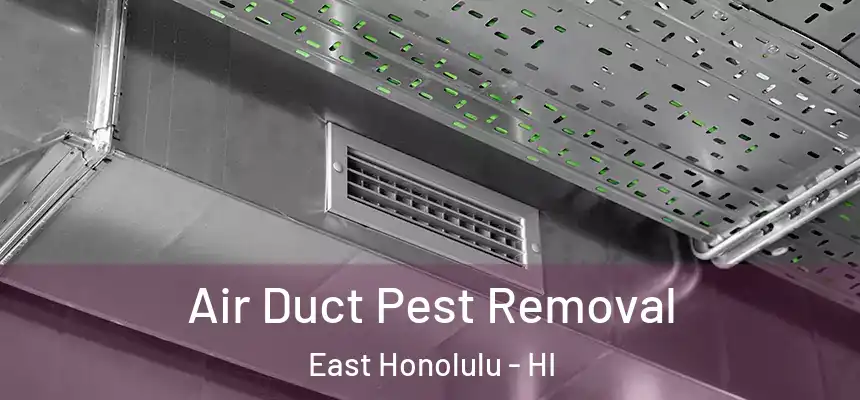 Air Duct Pest Removal East Honolulu - HI