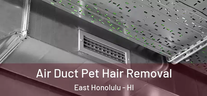  Air Duct Pet Hair Removal East Honolulu - HI