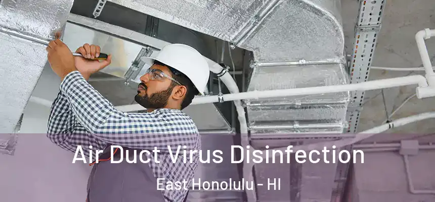 Air Duct Virus Disinfection East Honolulu - HI