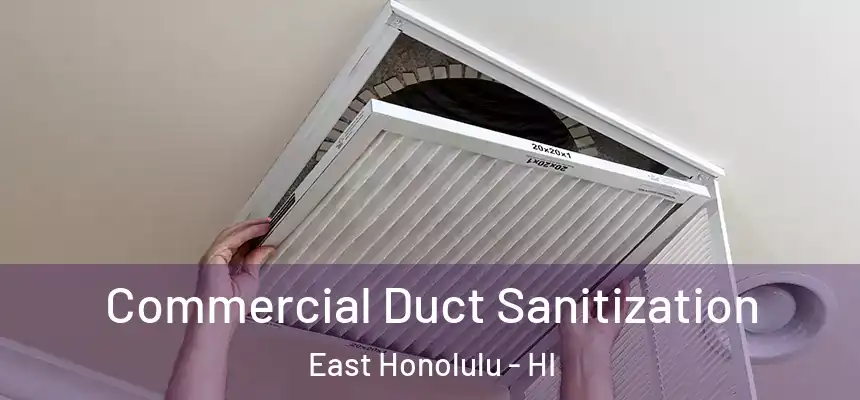 Commercial Duct Sanitization East Honolulu - HI