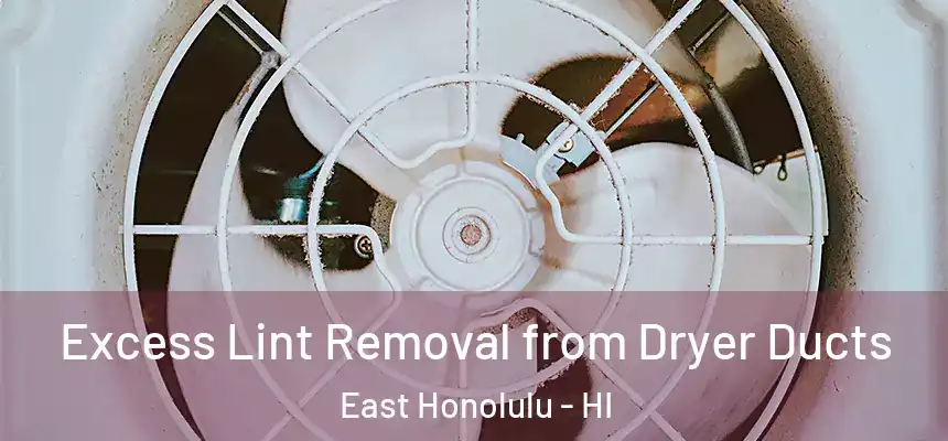 Excess Lint Removal from Dryer Ducts East Honolulu - HI