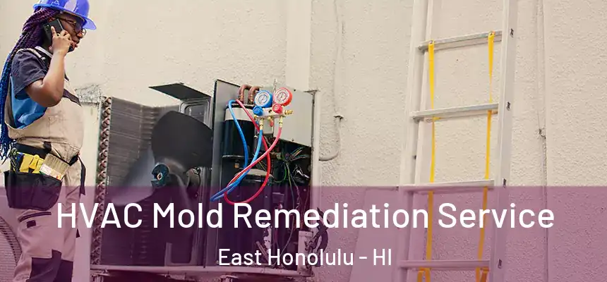 HVAC Mold Remediation Service East Honolulu - HI