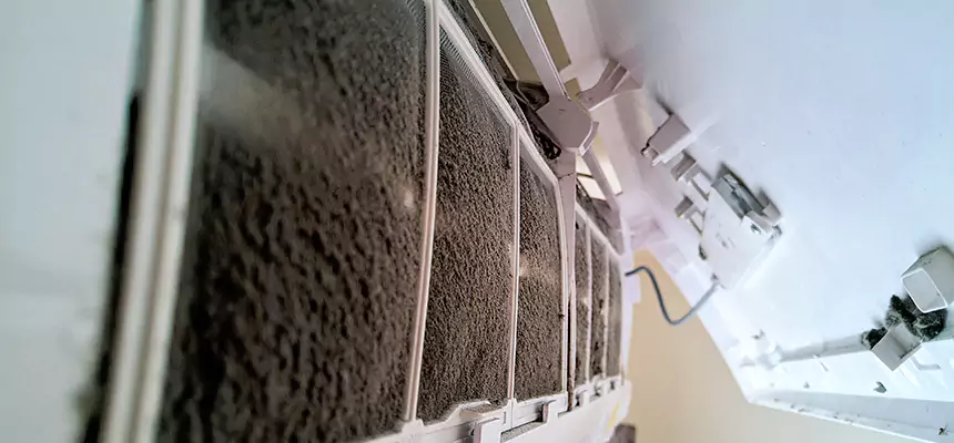 Preventive Air Duct Bacteria Removal in East Honolulu