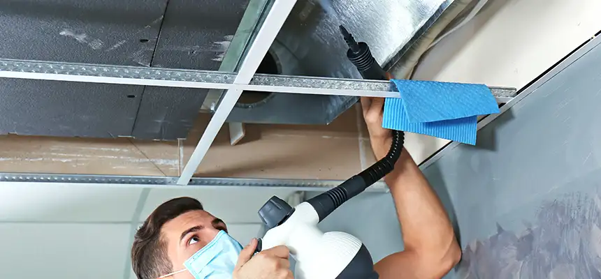 Our Air Duct Rodent Removal Services in East Honolulu, HI