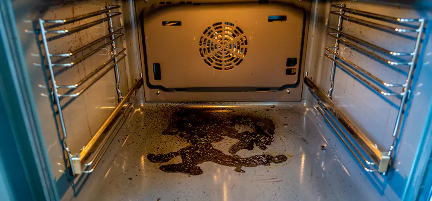 Our Dryer Vent Mold Cleaning Services in East Honolulu, HI