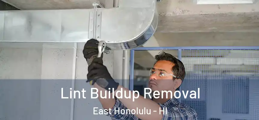Lint Buildup Removal East Honolulu - HI
