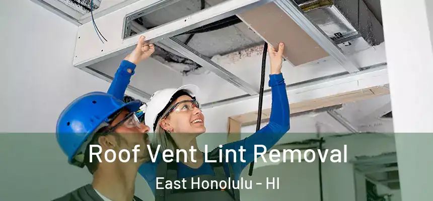 Roof Vent Lint Removal East Honolulu - HI