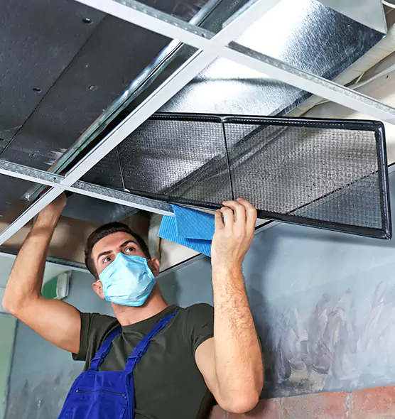 About Air Duct Bacteria Removal in East Honolulu