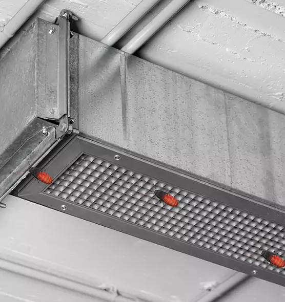 About Air Duct Cockroach Removal in East Honolulu, HI