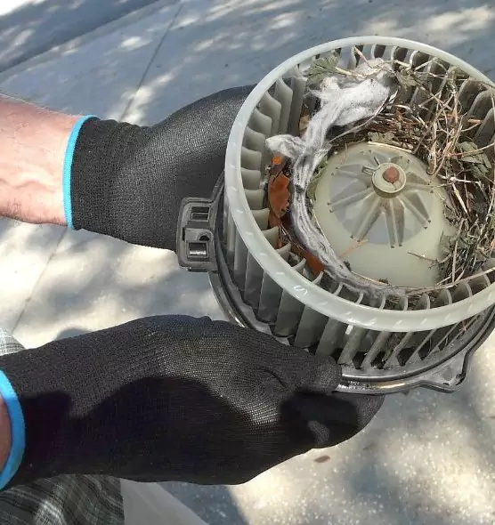 About Air Duct Rat Removal in East Honolulu, HI