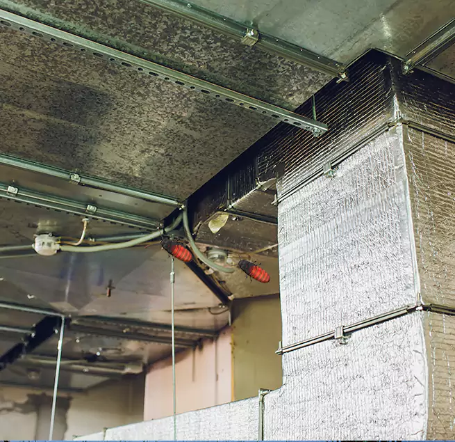 Why Homeowners & Businesses Trust Us in East Honolulu, HI?