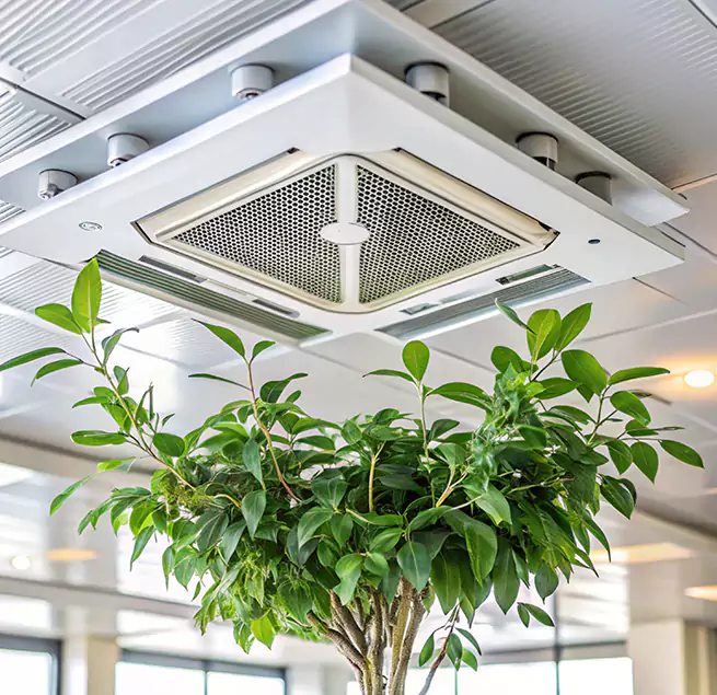 Why Homeowners & Businesses Trust Us in East Honolulu, HI