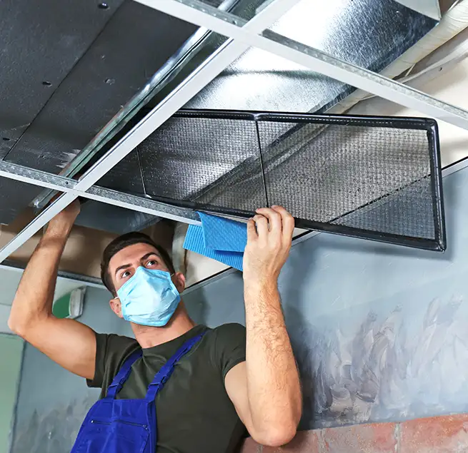 Why Homeowners & Businesses Trust Us in East Honolulu, HI?