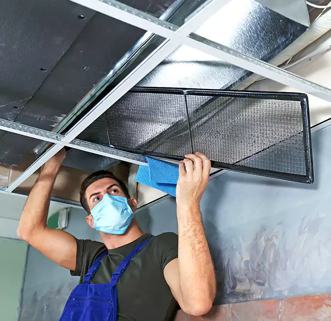 Why Homeowners Businesses Trust Us in East Honolulu, HI