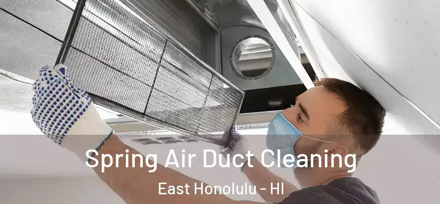 Spring Air Duct Cleaning East Honolulu - HI